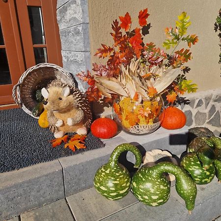 Sepsi Relax Hotel Sfântu-Gheorghe Buitenkant foto