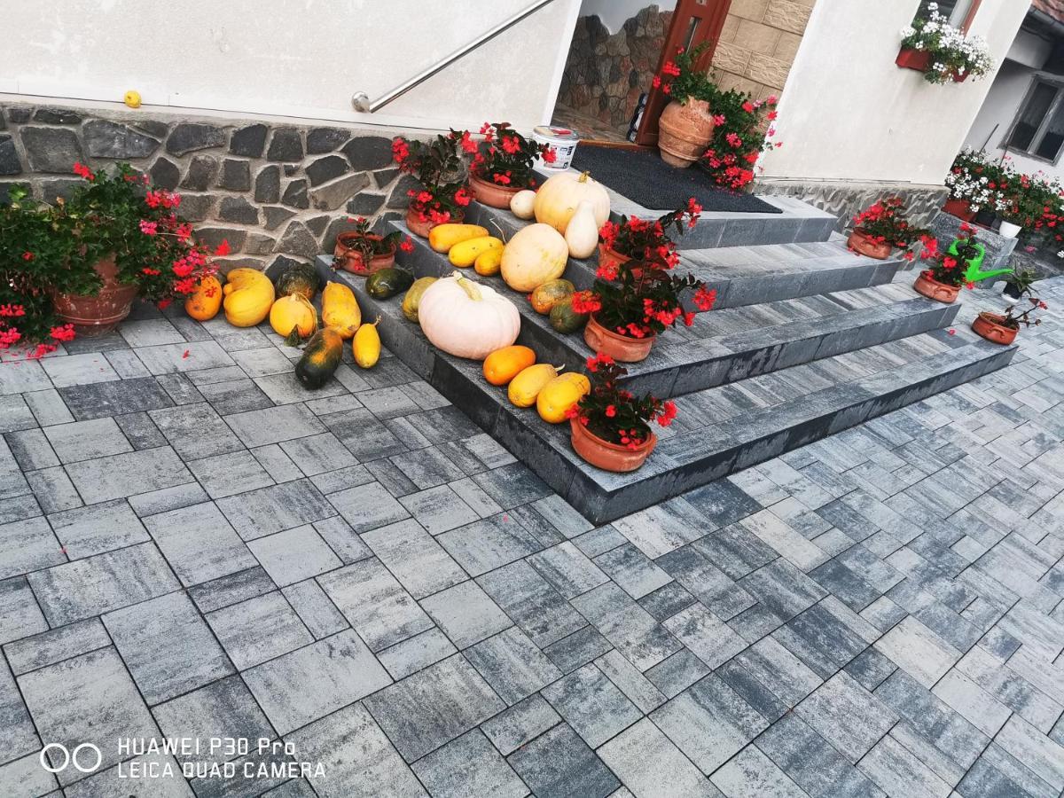 Sepsi Relax Hotel Sfântu-Gheorghe Buitenkant foto