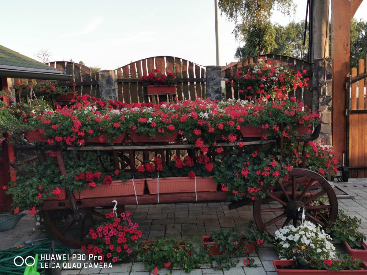 Sepsi Relax Hotel Sfântu-Gheorghe Buitenkant foto