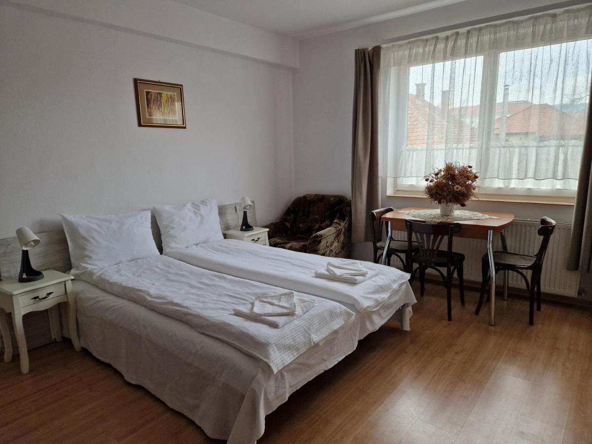 Sepsi Relax Hotel Sfântu-Gheorghe Buitenkant foto