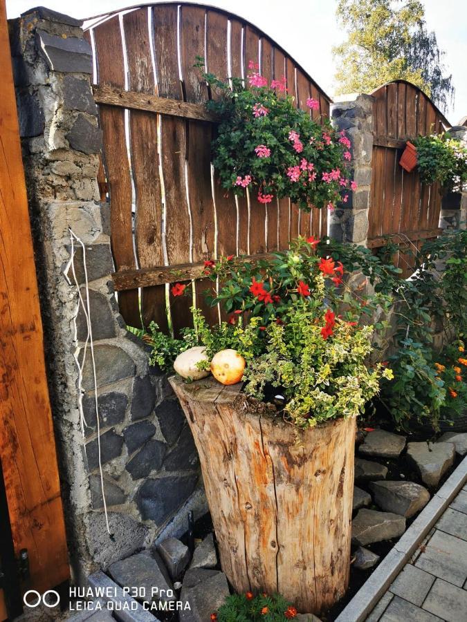 Sepsi Relax Hotel Sfântu-Gheorghe Buitenkant foto