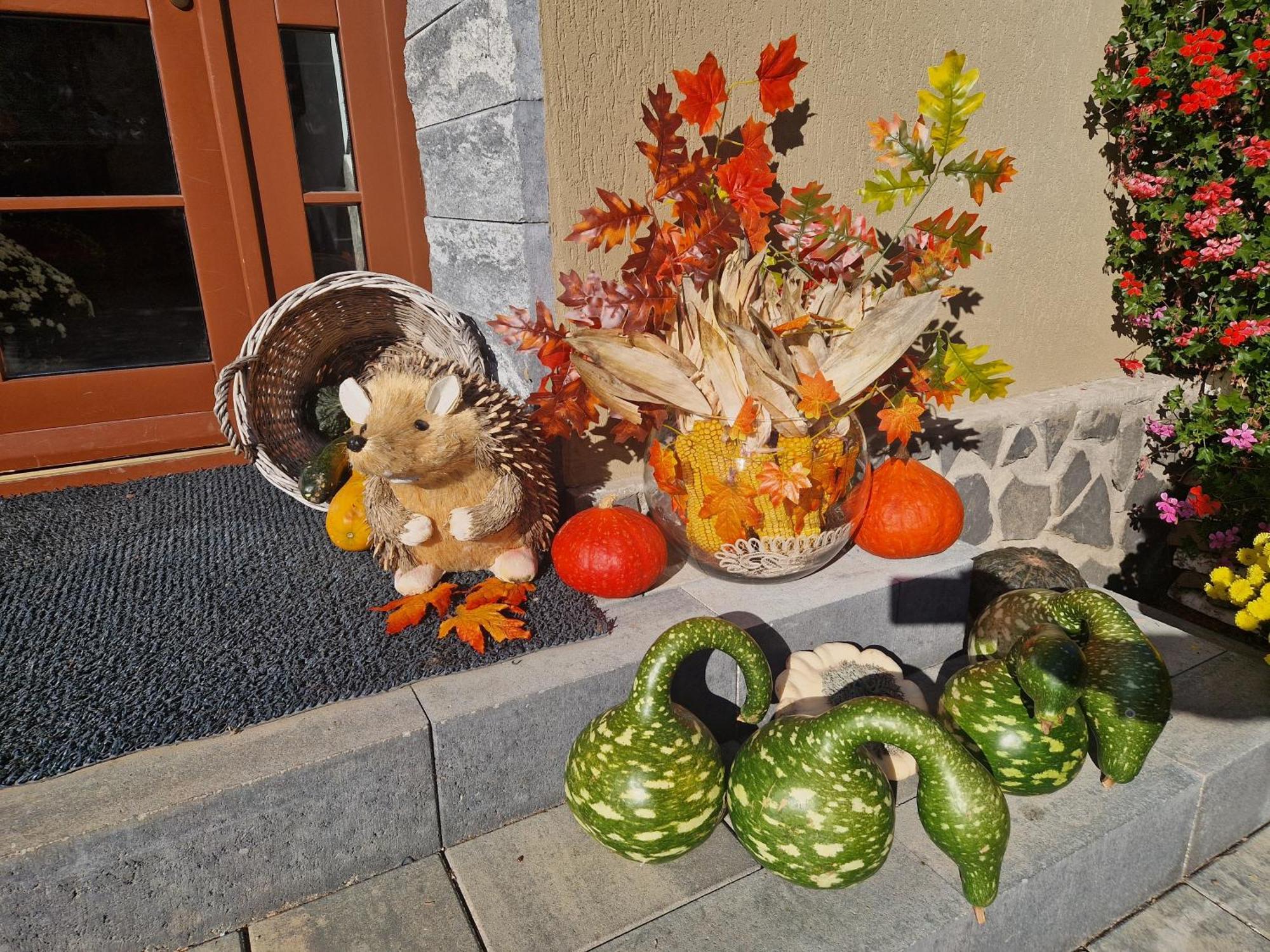 Sepsi Relax Hotel Sfântu-Gheorghe Buitenkant foto